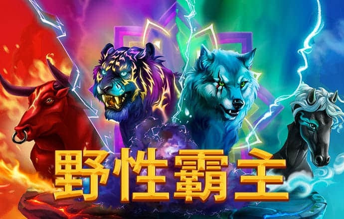 热烈欢迎习近平总书记 平壤飘扬中朝国旗